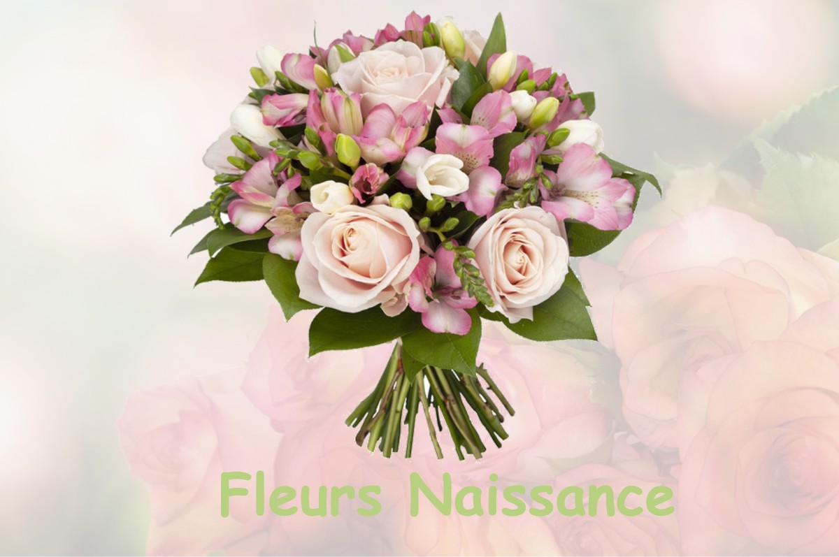 fleurs naissance BAULE