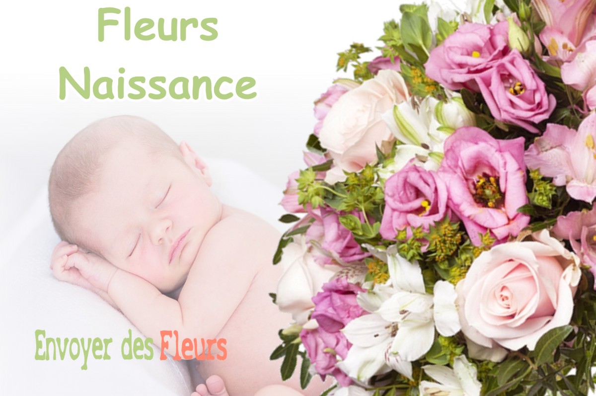 lIVRAISON FLEURS NAISSANCE à BAULE